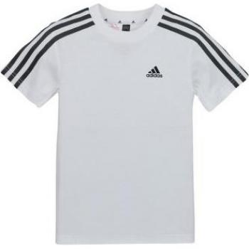 Camiseta Infantil adidas LK 3S CO Blanca