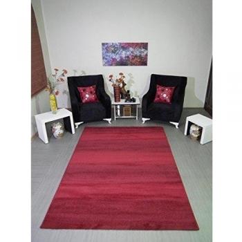 DolceMora Sehrazat Madrid 180 - Alfombra, 1.70 x 1.20 x 17.00 cm, color rojo