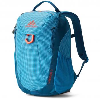Mochila para niños Gregory Wander 8L PACIFIC BLUE características: capacidad de 8 litros, diseño ergonómico, sistema de ajuste fácil, materiales resistentes al agua, compartimento principal con cierre, bolsillo frontal con organizador, correas