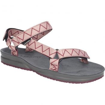 Sandalias de montaña unisex Lizard Creek IV