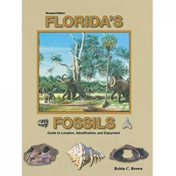 Florida's Fossils: Comprehensive Guide to Identification and Location (Third Edition)
