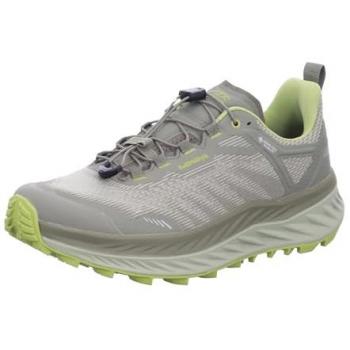Zapatillas de Trail Running Lowa Fortux Goretex EU 47