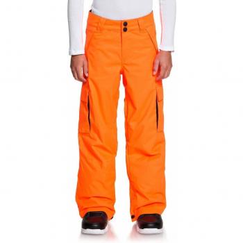 DC Shoes Banshee - Pantalón para Nieve - Niños 8-16
