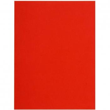 Subcarpetas de papel Flash Exacompta 150012E - 80 g/m2