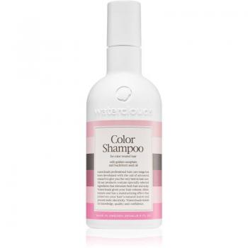 Waterclouds Color Protection Shampoo (250 ml)
