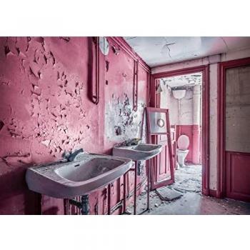 Rompecabezas Ravensburger Lost Places: Sueños Rosados 1000 Piezas