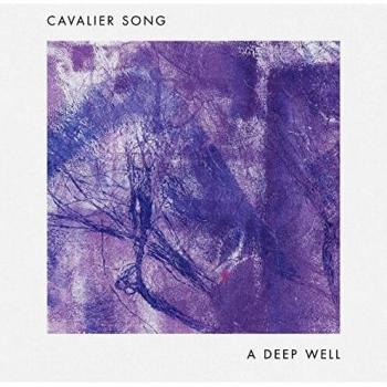 A Deep Well VINYL