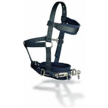 Cottage Craft K23 - Cabestro para Caballo, Color Negro, Talla FR: Grand