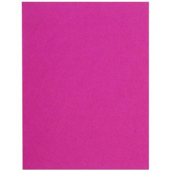 1000 Subcarpetas de papel Flash - Exacompta 150020E - 80 g/m2 Color Rosa Fucsia
