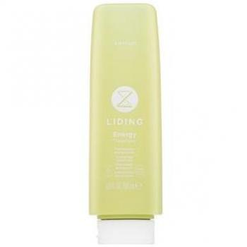 Kemon Liding Care Mascarilla Energy 200 ml - Acondicionador nutritivo para la caída del cabello, 200 ml