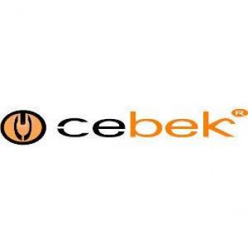 Fuente Alimentación 12V 300mA FE-2 Cebek