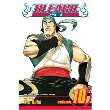 Bleach: v. 10: Tattoo on the Sky: Volume 10