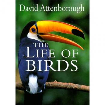 The Life of Birds
