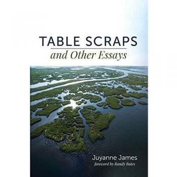 Table Scraps and Other Essays: Thoughtful Reflections by Juyanne James (Paperback, 2019)