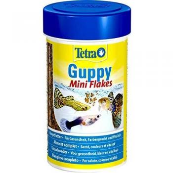 Tetra Mini Copos para la Alimentación Diaria de Guppies, 100 ml
