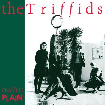 Álbum Treeless Plain - CD con sonido envolvente y producción de alta calidad