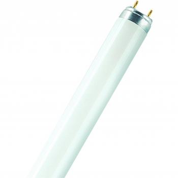 Osram 024427 Bombilla LED G13, Luz día