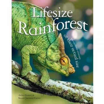 Lifesize Rainforest (Lifesize, 2
