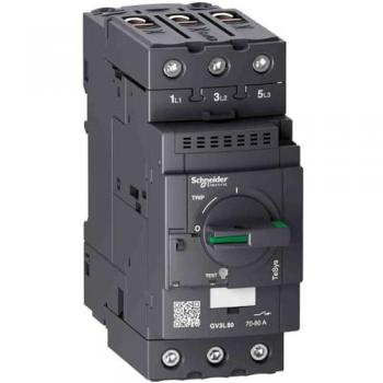 Disyuntor magnetotérmico Schneider Electric TeSys GV3L, 3 polos, 80A, 690V AC