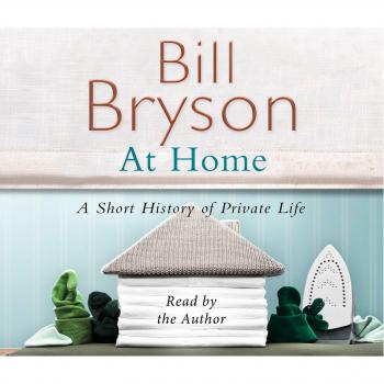 At Home: A Short History of Private Life