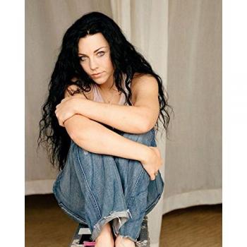 Amy Lee (24x30 inch, 60x75 cm) Silk Poster Seda Cartel PJ11-96DE