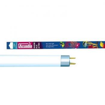 Arcadia Marine Blue Actinic T8 Fluorecent Tubo
