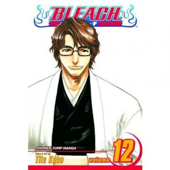 Bleach: v. 12