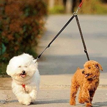 Malayas®Doble Correa de Nilon para Dos Perros de Alta Resistencia para Correr / Trotar / Caminar al Aire Libre