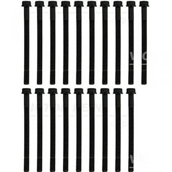 Juego de tornillos de culata REINZ 14-10309-01