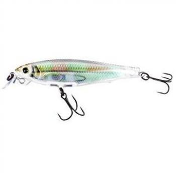 Yo-Zuri - 3DR Minnow (SP) 70 mm - Glass Minnow (Rglm) - LYRMI70RGLM