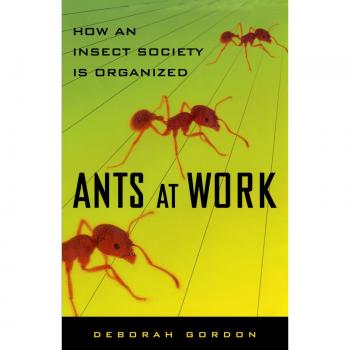 Ants at Work: Understanding Insect Societies - A Comprehensive Guide by Deborah Gordon