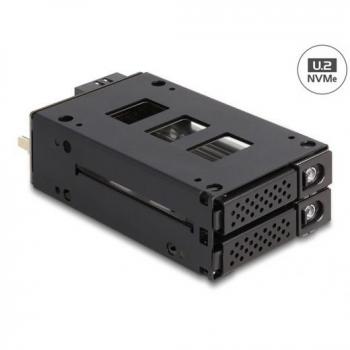 Marco extraíble Delock Slim Bay para 2 SSD NVMe U.2 de 2,5 pulgadas
