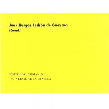 La violencia de género: Aspectos penales y procesales: 113
