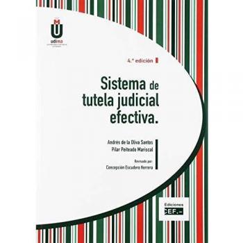 Sistema de tutela judicial efectiva