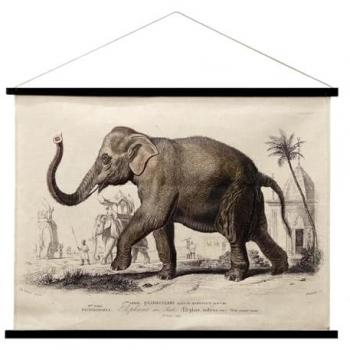 Lienzo Enrollable Elefante Cuadros Crudo Rectangular 75x100x2cm - Signes Grimalt