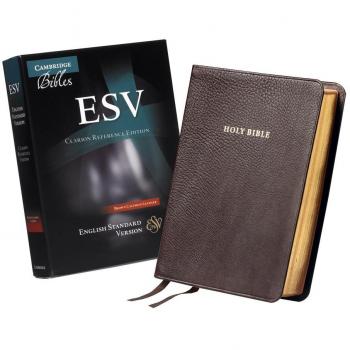 ESV Clarion Reference Bible, Brown Calfskin Leather, ES485:X