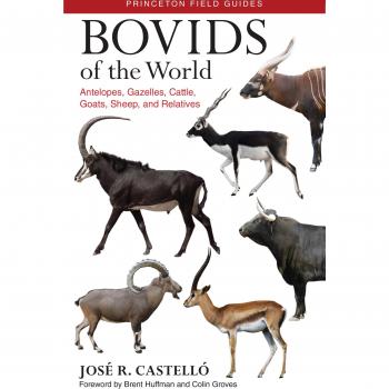 Bovids of the World: Antelopes, Gazelles, Cattle, Goats, Sheep, and Relatives
