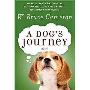 A Dog's Journey - Heartwarming Novel about Canine Companionship