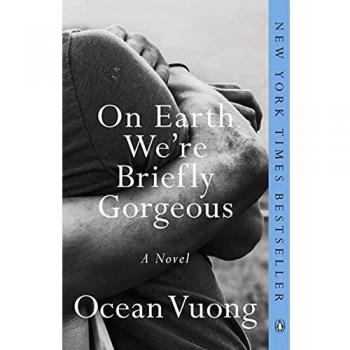 On Earth We're Briefly Gorgeous: A Novel