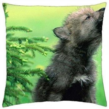 La carcasa de la Viscious Wolf - Funda de almohada manta
