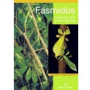 Fásmidos. Insectos palo e insectos hoja