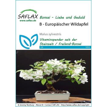 SAFLAX - Bonsai - Caranguejo Selvagem - 30 sementes - Malus sylvestris