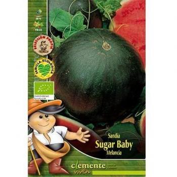 Semillas ecológicas de Sandia Sugar Baby