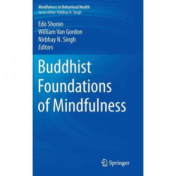 Buddhist Foundations of Mindfulness: A Comprehensive Guide to Mindfulness in Behavioral Health