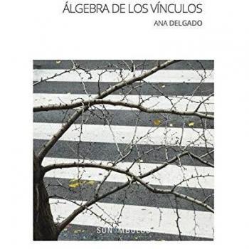 ÃLGEBRA DE LOS VÃNCULOS: 14