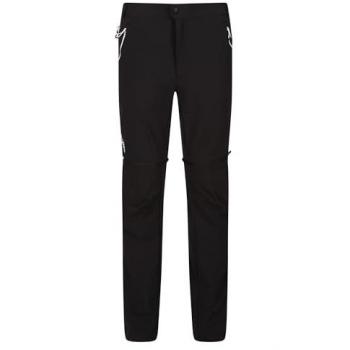 Regatta Men's Water-Repellent Zip-Off Mountain Walking Trousers - Black Ash, Size 42S