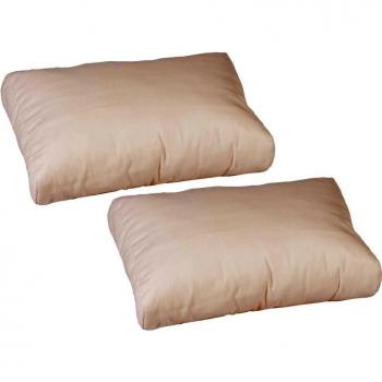 Beo 2-er AU01 LKR 60x40 - Sencilla sala de cojín para la espalda exclusivo cojín, elegante y fácil de limpiar, de alto confort de asiento, alrededor de 60 x 40 cm, paquete de 2-er, 20 cm de espesor au 01, wei