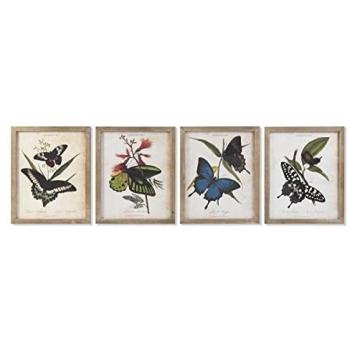 Cuadro DKD Home Decor Mariposas 40 x 2 x 50 cm Shabby Chic (4 Piezas)