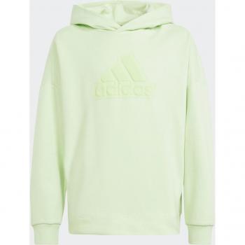 Sudadera adidas Future Icons Logo Hoodie para Niños - Verde Claro