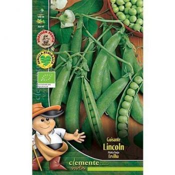 Semillas ecológicas de Guisante Lincoln